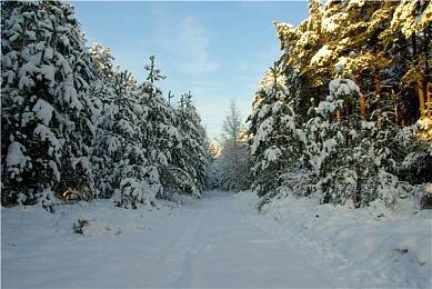 官方发文暗示 《使命召唤：现代战争3》或将于下周公布