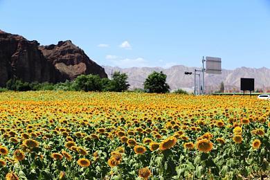 开放世界《夜族崛起》5月8日登陆PC 稍晚登陆PS5